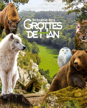 Domaine de Han-Lesse